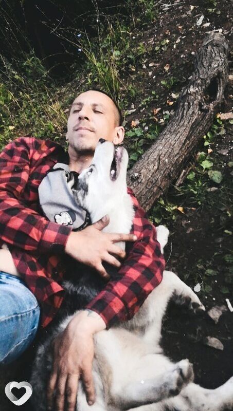 ���������� ���, ���� ������� ����, 36 ���, ������������ ��� ������, ����� � ���������