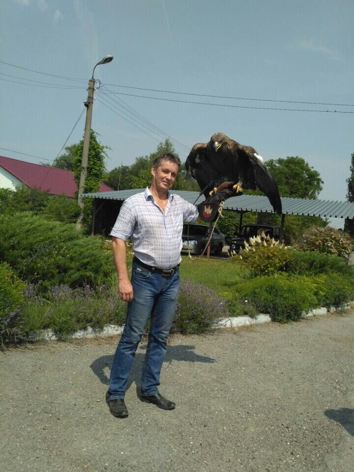  46477459  , 50 ,    