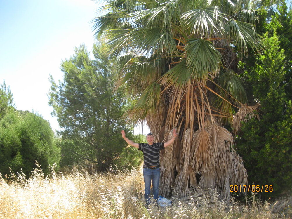 ���������� �����������, ���� ������� VIKTOR, 58 ���, ������������ ��� ������, ����� � ���������, c�������� ���������