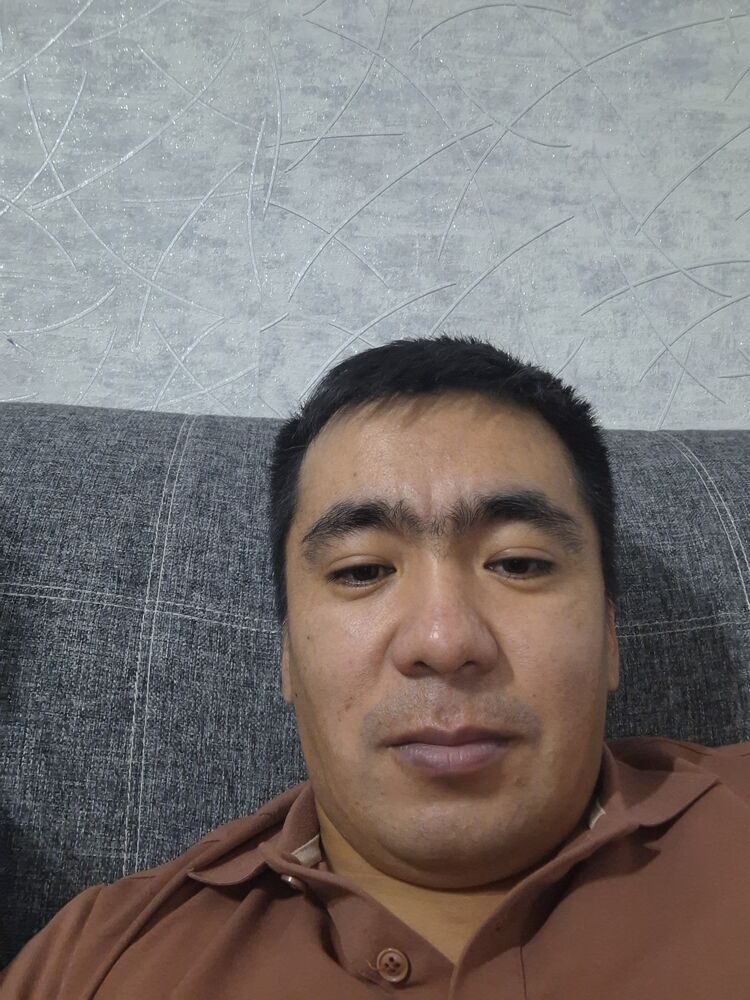  47308989  , 38 ,    