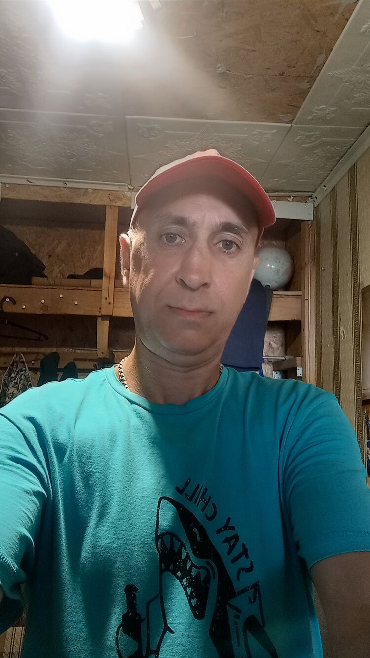  51198639  , 44 ,    
