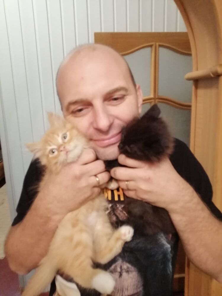 ���������� ������� ��������, ���� ������� ������, 46 ���, ������������ ��� ������, ����� � ���������