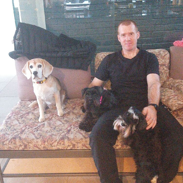  ,   , 31 ,     , c , 