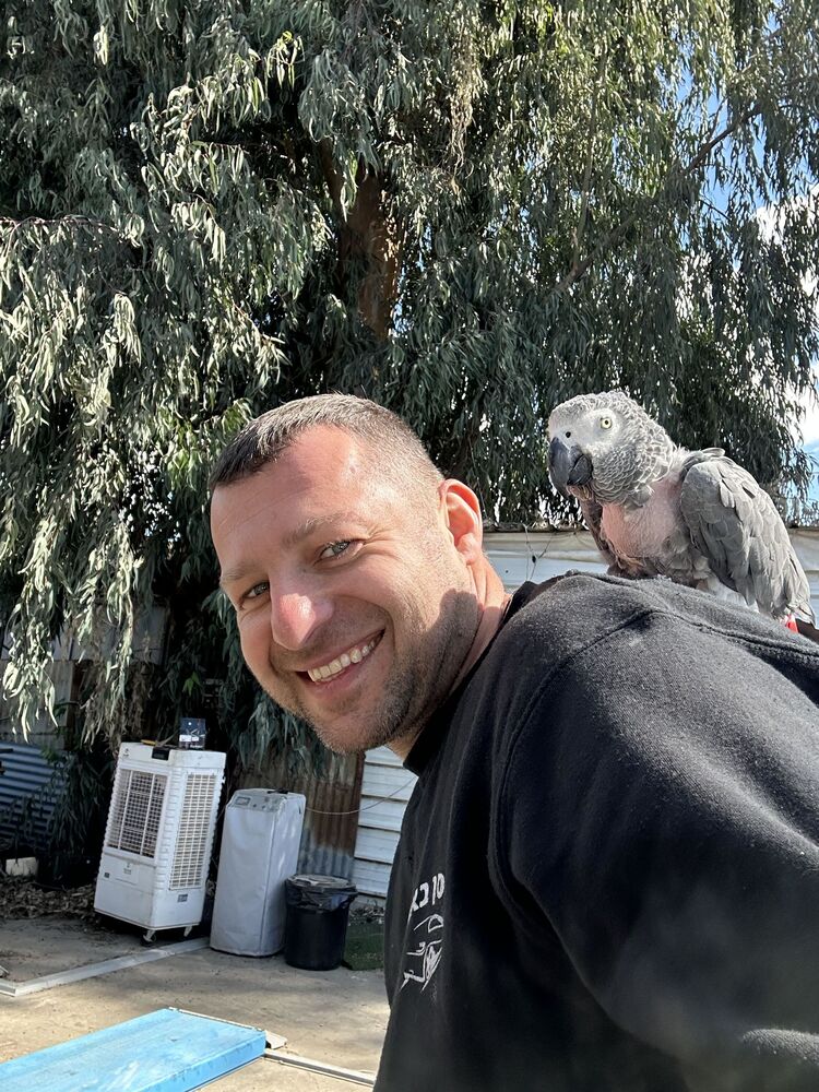 ���� 55810809 ������� ���������, 42 ����, ���� ���������� � �������