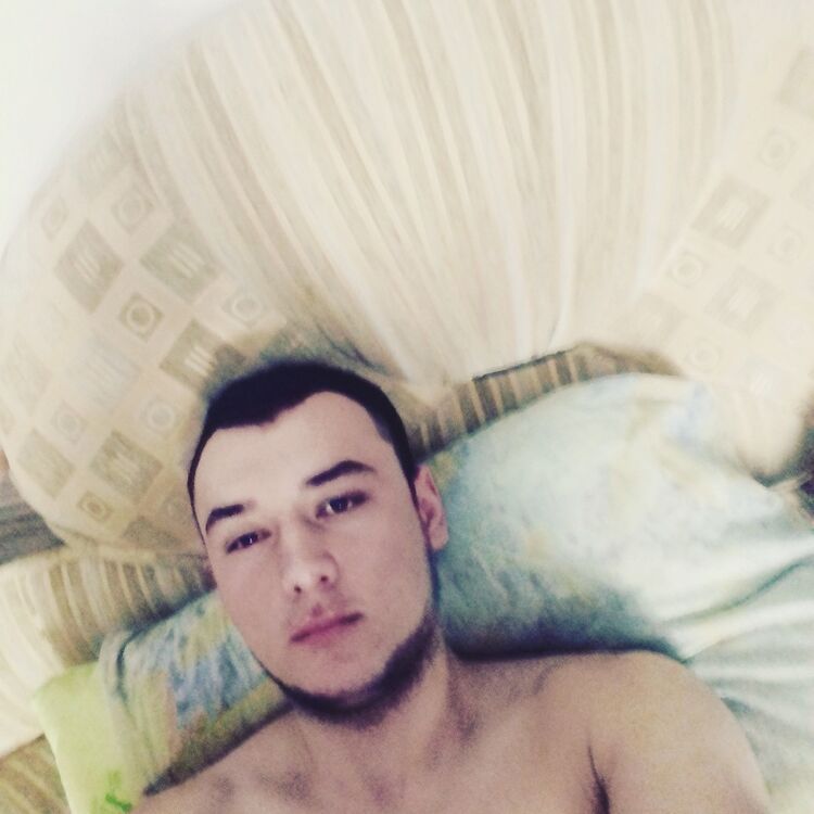  9684889  , 33 ,    