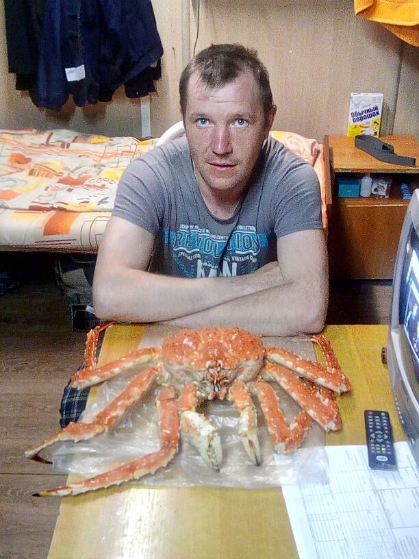 ���������� ����, ���� ������� ����, 34 ����, ������������ ��� ������, ����� � ���������, c�������� ���������, ���������