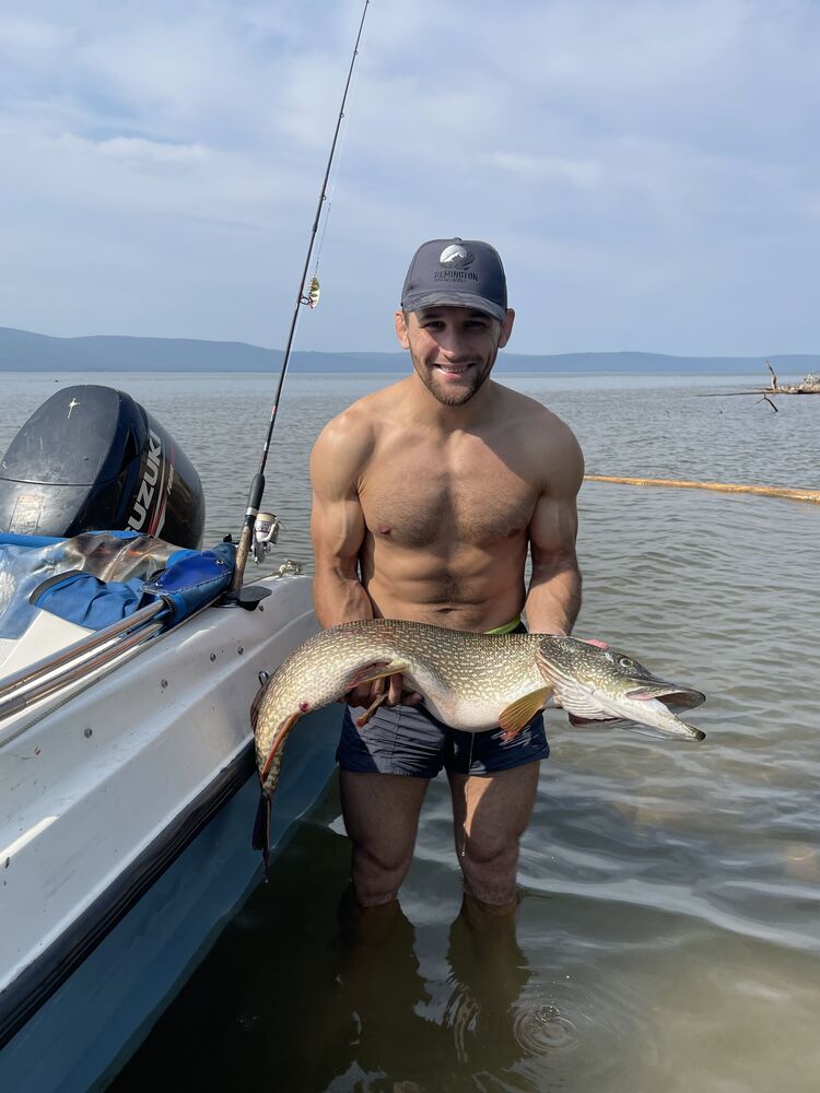  37813939  , 30 ,    -