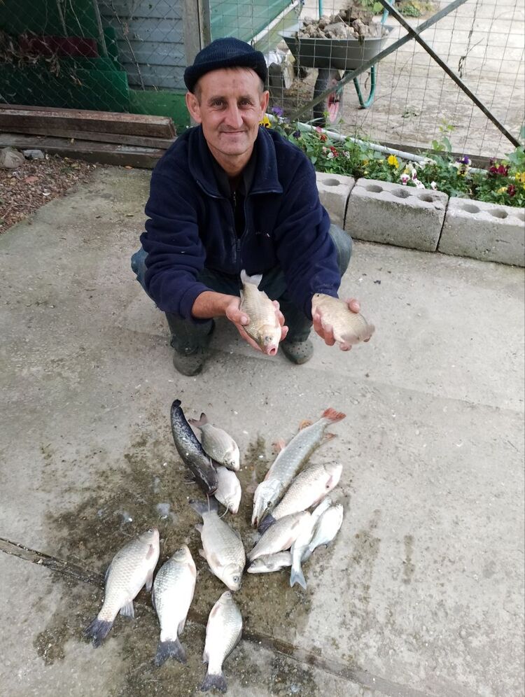 ���� 49652559 ������� ���������, 43 ����, ���� ���������� � ���������-��-������