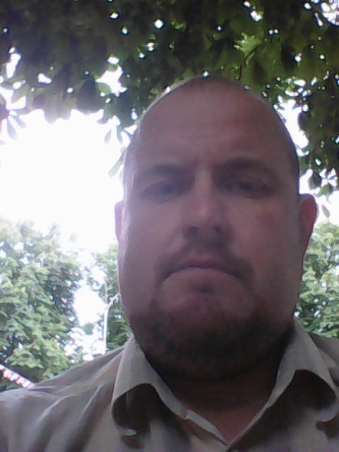  9848849  , 49 ,    