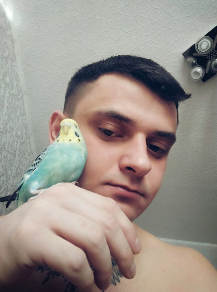 ���������� �������, ���� ������� �������, 31 ���, ������������ ��� ������, ����� � ���������