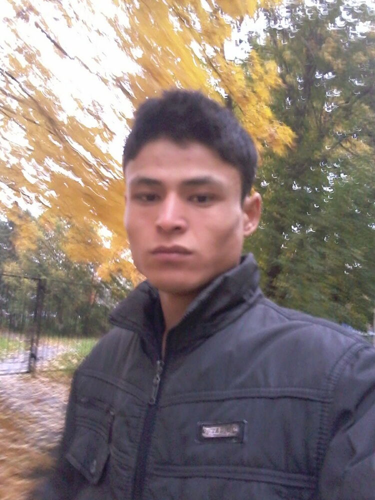  8320119  , 33 ,    