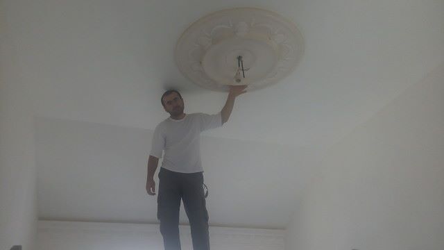  12377249   , 40 ,    