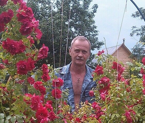   ,   , 66 ,   ,   