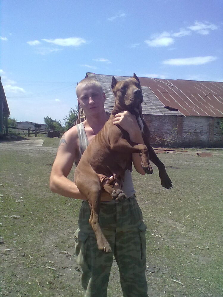 ���� 6228389 ������� ����, 34 ����, ���� ���������� � ����������