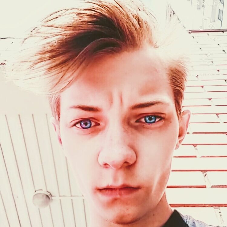 ���������� ������ ��������, ���� ����� �����, 24 ����, ������������ ��� ������, ����� � ���������, c�������� ���������