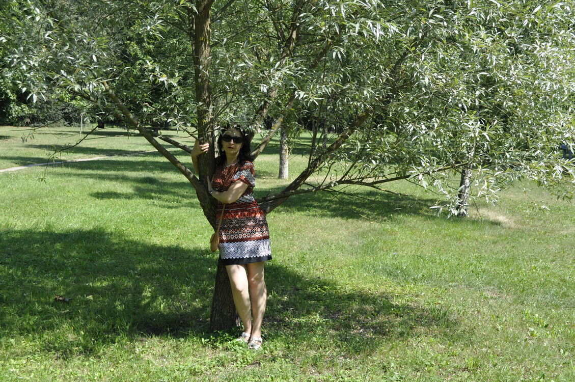  ,   , 43 ,  