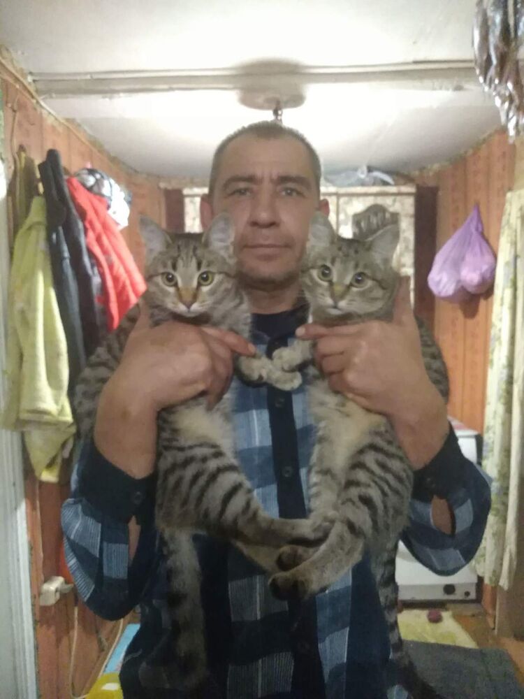  ,   , 51 ,   ,   , c 