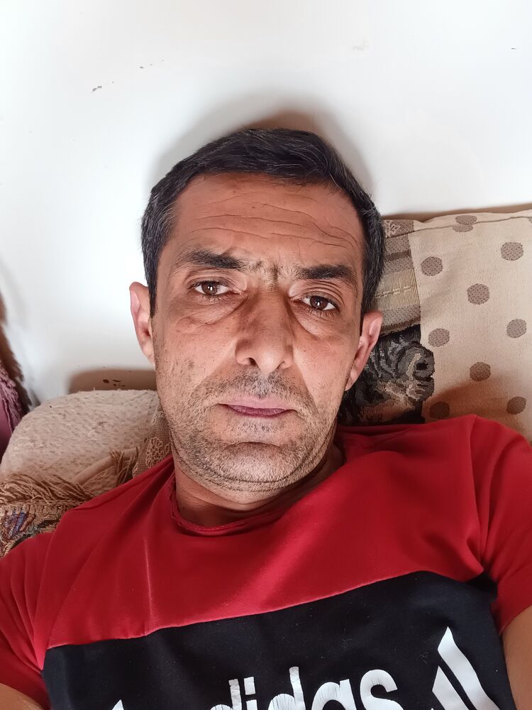  43773949  , 44 ,    