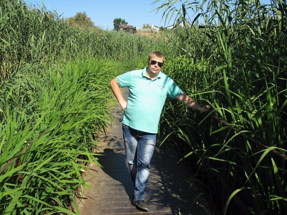 ���������� �������������, ���� ������� ������, 38 ���, ������������ ��� ������