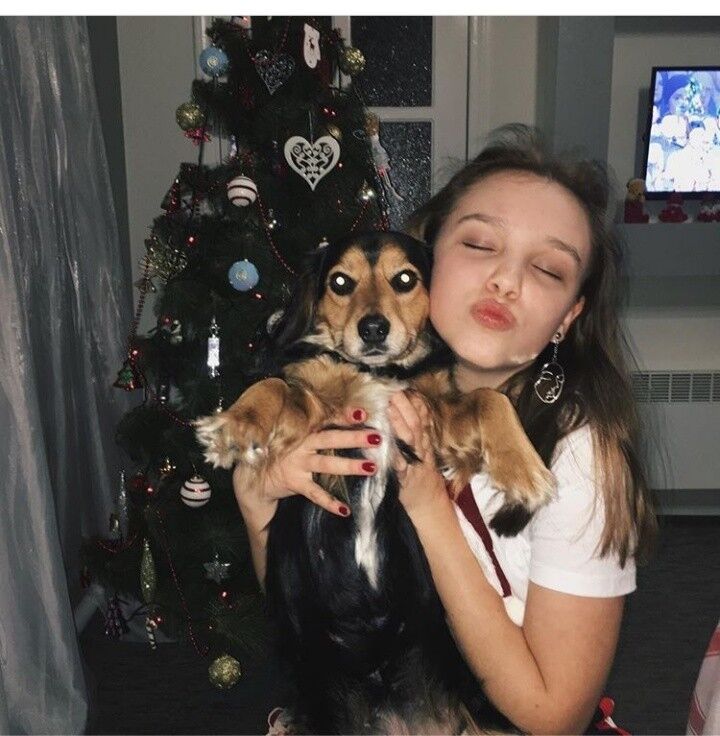 ���� 15093839 ������� ������, 26 ���, ���� ���������� � �����