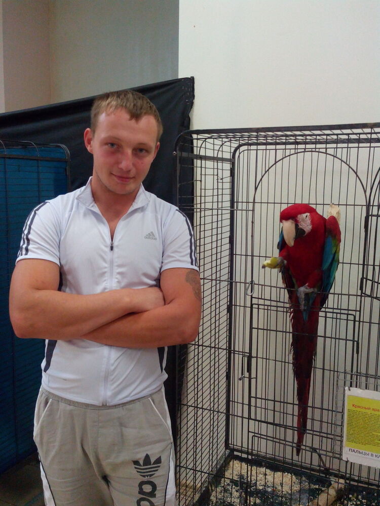 ���� 5255959 ������� ������, 36 ���, ���� ���������� � ��������