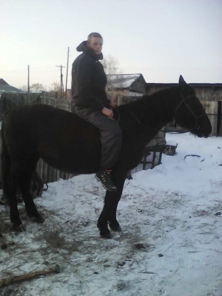 ���� 11132079 ������� ������, 28 ���, ���� ���������� � ����������