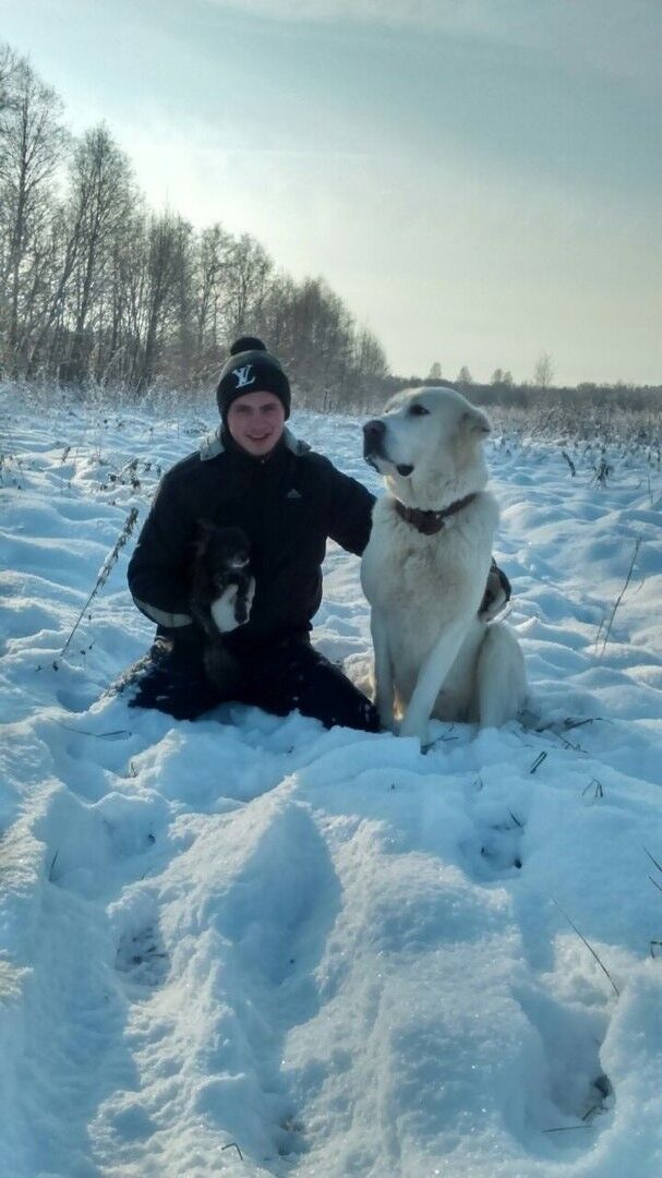 ���� 9365819 ������� ���, 31 ���, ���� ���������� � �������