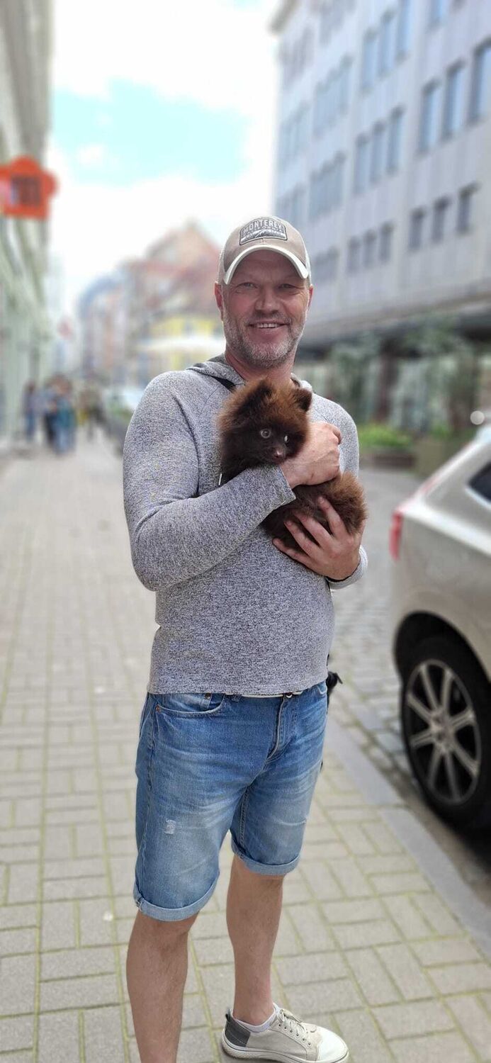 ���������� ����, ���� ������� Sandis, 51 ���, ������������ ��� ������, ����� � ���������, c�������� ���������