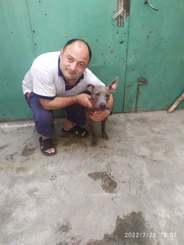  ,   Anar, 47 ,     , c , 