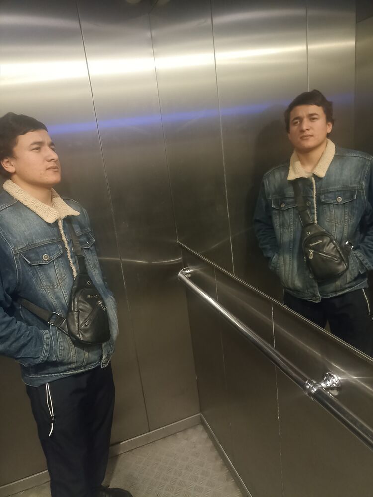  31330919  , 21 ,    