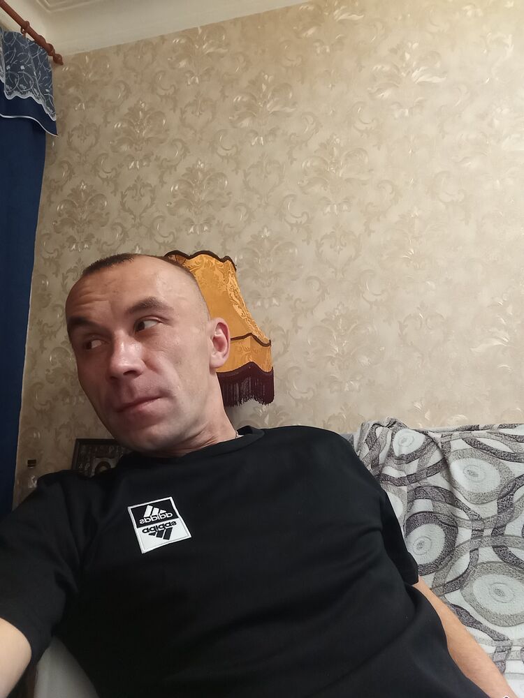  50648169  , 41 ,    -