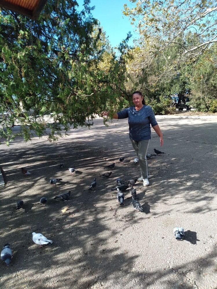  ,   , 65 ,   