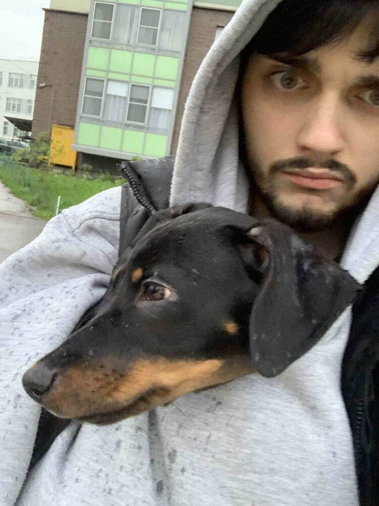 ���������� �����-���������, ���� ����� ����, 23 ����, ������������ ��� ������, ����� � ���������