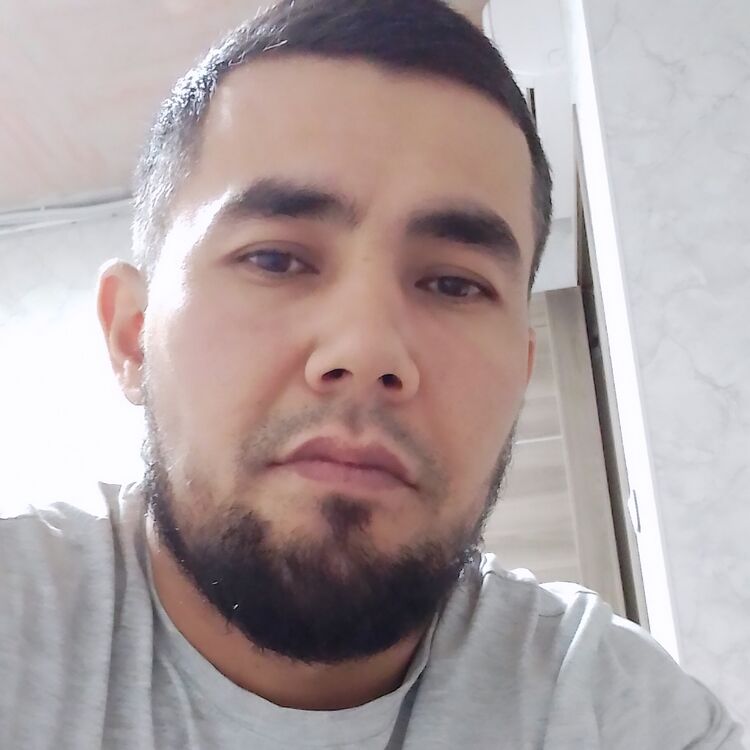 ���� 50874569 ������� ���, 34 ����, ���� ���������� � ������