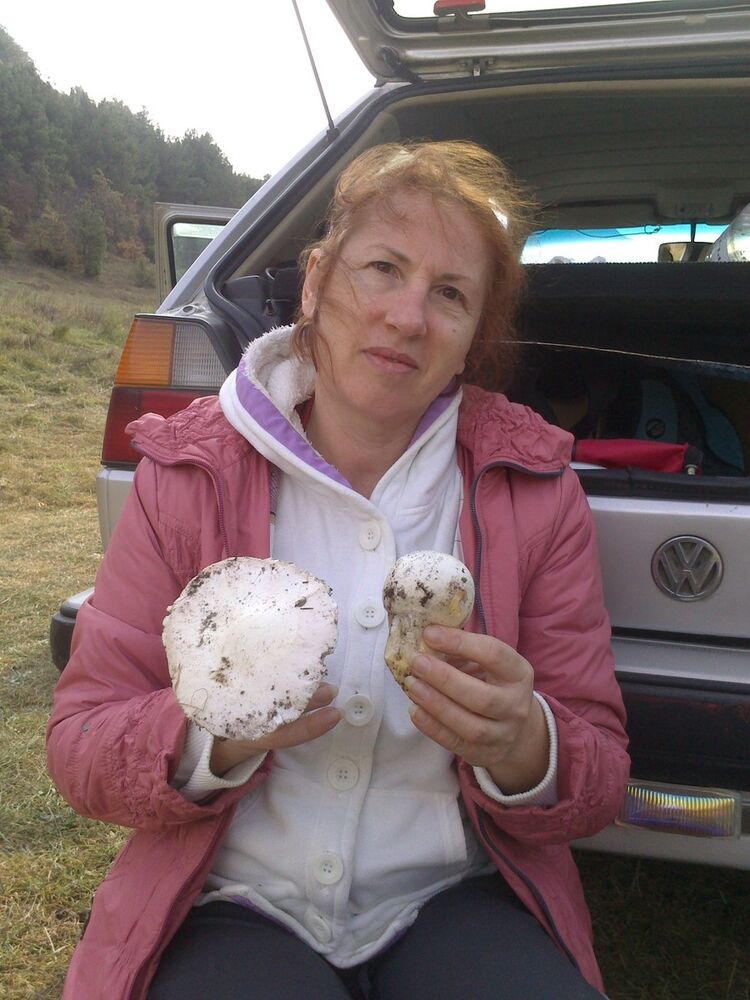  ,   , 58 ,  