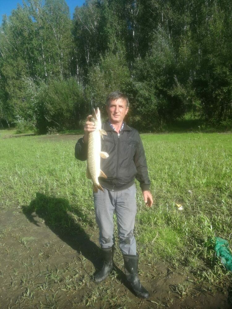  41624739  , 61 ,    