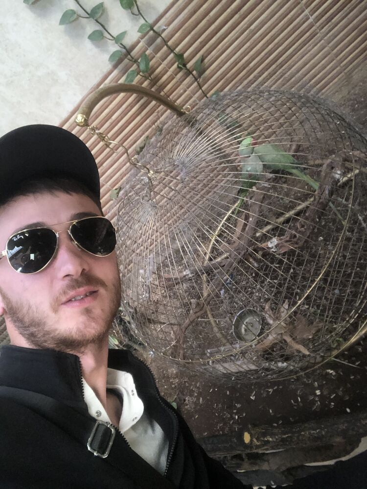 ���������� ������-��-����, ���� ������� Temur, 32 ����, ������������ ��� ������, ����� � ���������, ���������