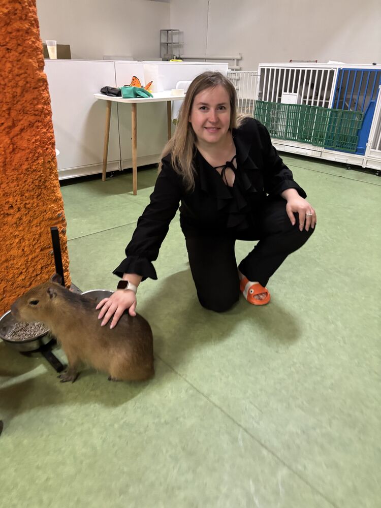 ���� 53140579 ������� ����, 35 ���, ���� ���������� � �������