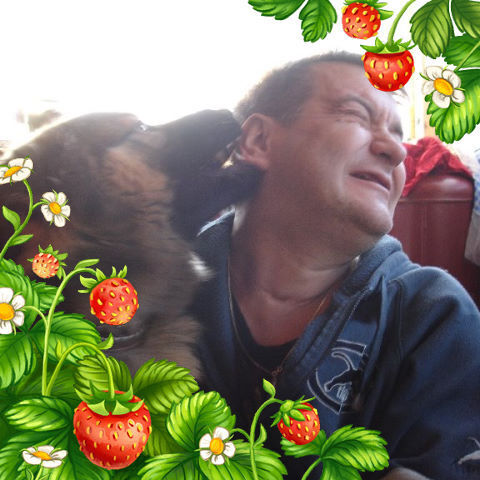  -,   , 60 ,   ,   
