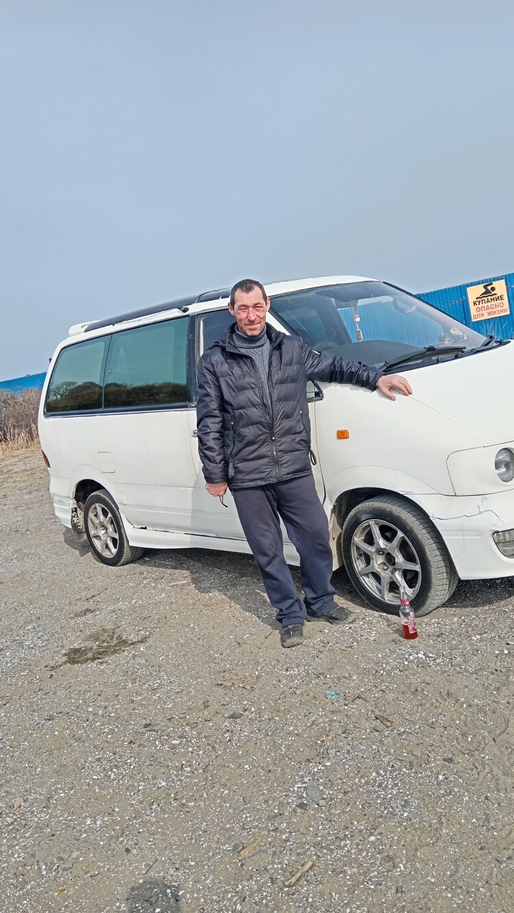  53933759  , 43 ,    -