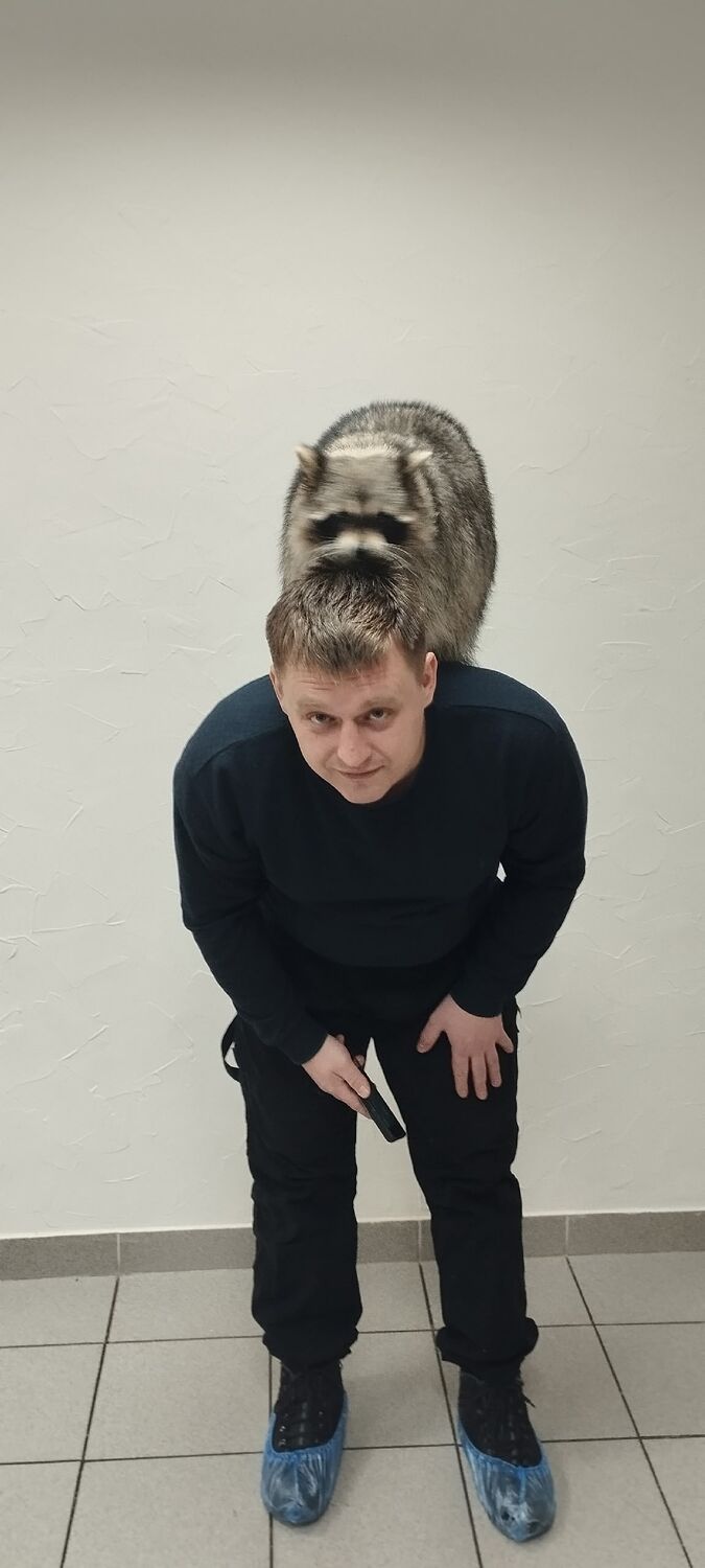 ���� 55568399 ������� �����, 29 ���, ���� ���������� � �����