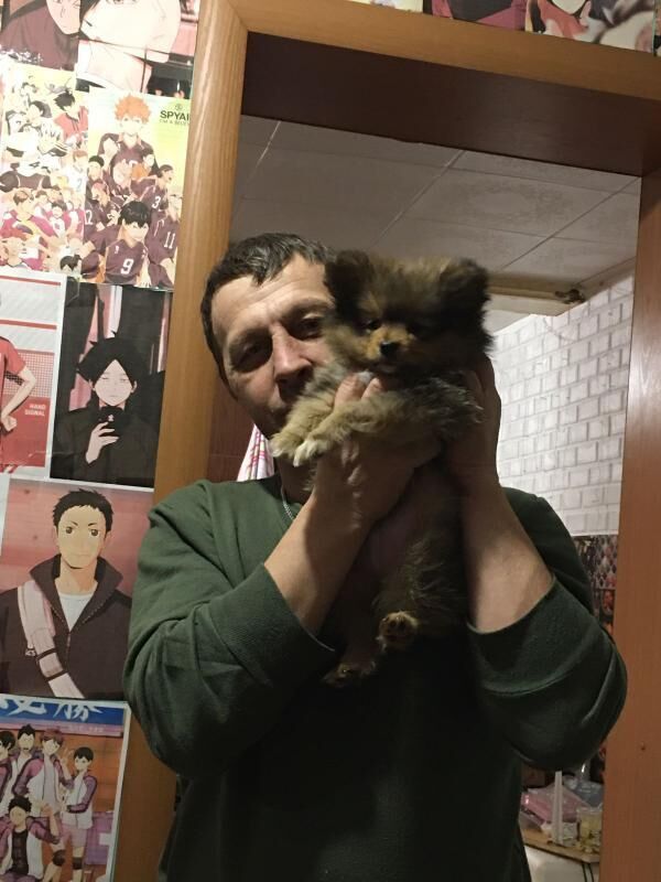 ���� 28971019 ������� ���, 47 ���, ���� ���������� � �����������