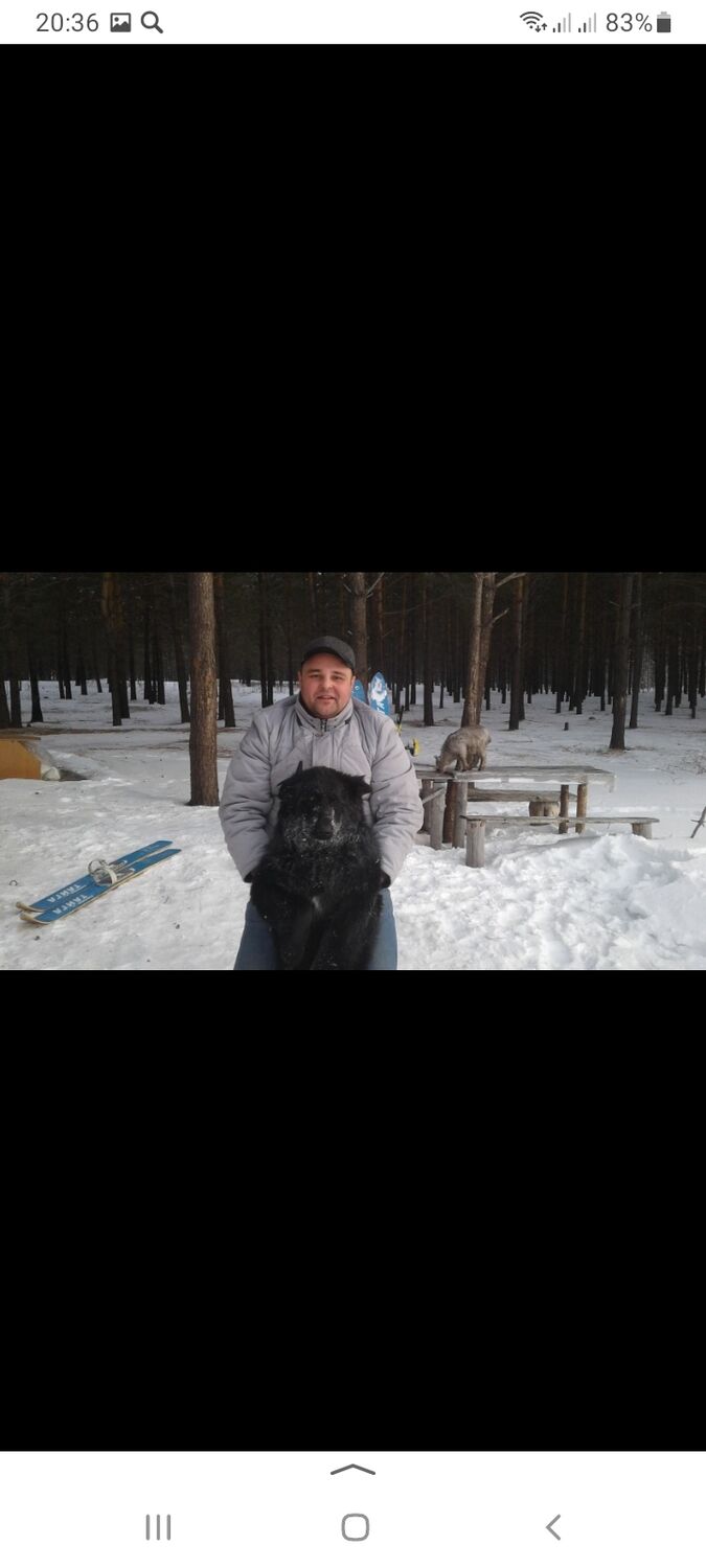 ���������� ���������, ���� ������� ���������, 47 ���, ������������ ��� c�������� ���������, ���������