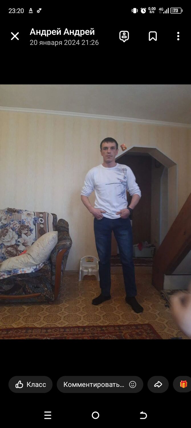 50363249  , 38 ,    