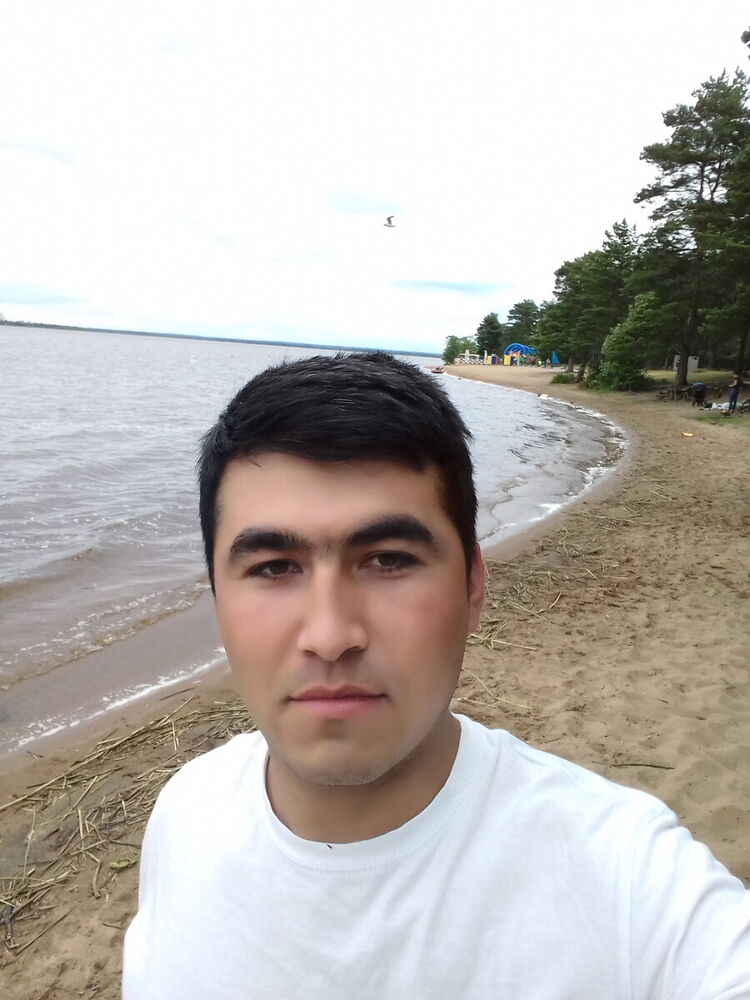 ���������� �����-���������, ���� ������� SHAXZOD, 29 ���, ������������ ��� ������, ����� � ���������, c�������� ���������