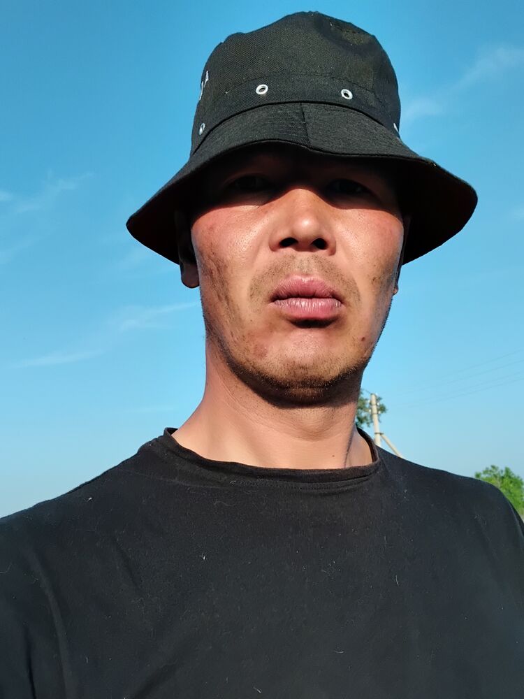  44277229  , 31 ,    