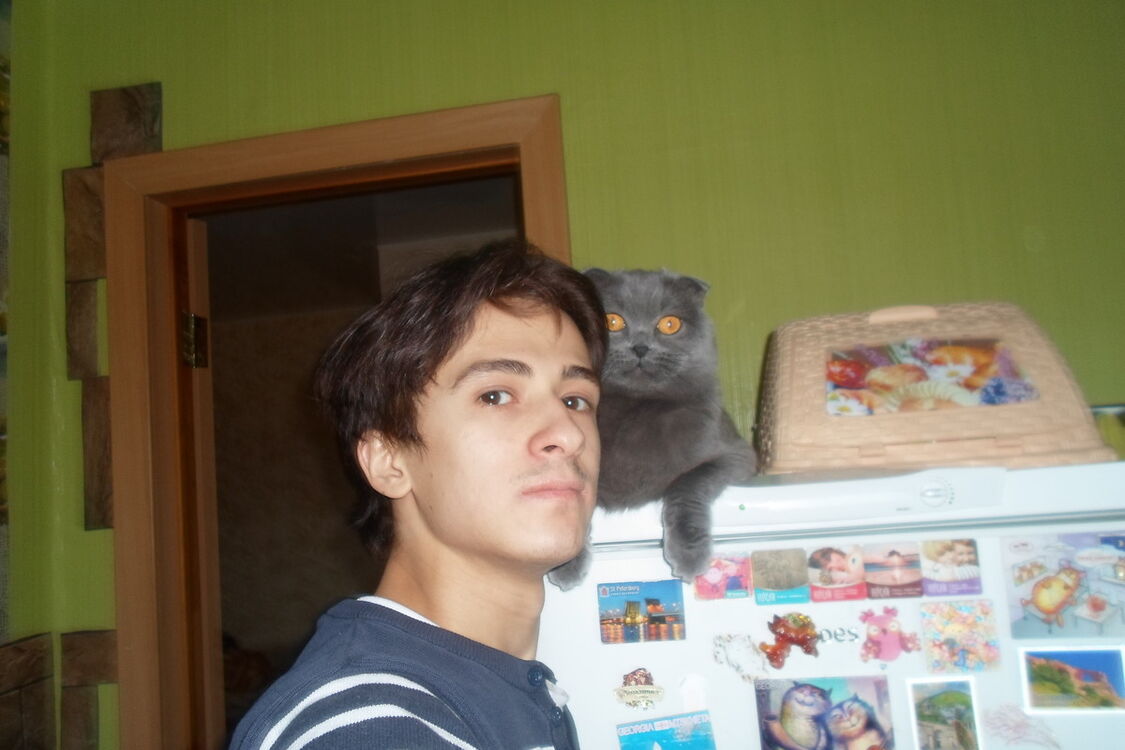 ���������� ���������, ���� ������� �����, 29 ���, ������������ ��� ������, ����� � ���������, c�������� ���������