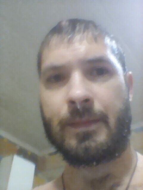  48599349  , 31 ,    