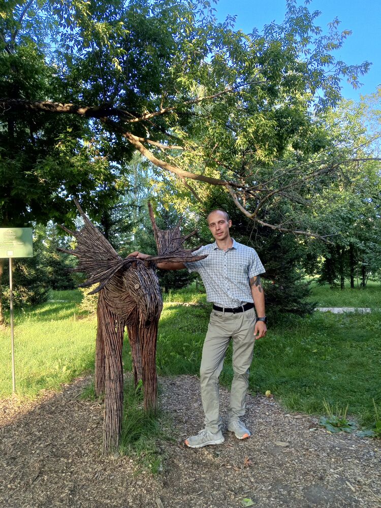 ���������� �������, ���� ������� ���������, 28 ���, ������������ ��� c�������� ���������, ���������