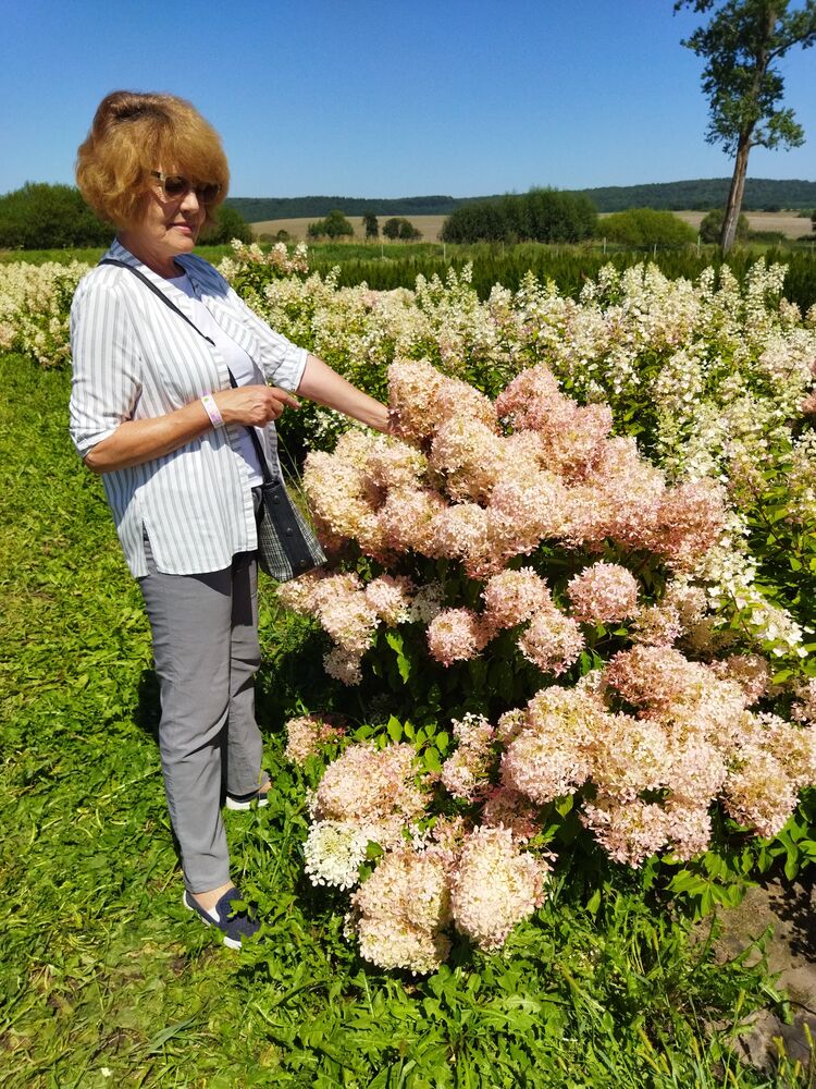  ,   , 65 ,   , c 